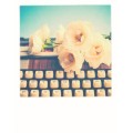 Schreibmaschine mit Blumen - PolaCard