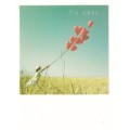 Fly away - PolaCard