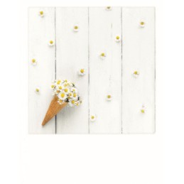Marguerite Icecream - PolaCard
