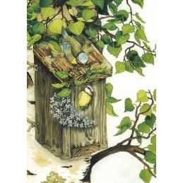119 - Blue tit - Postcard