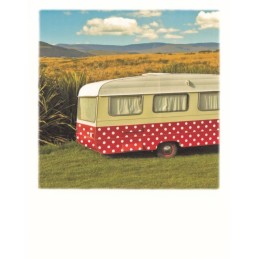 Mobile Home