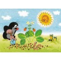 Der Maulwurf mit Erdbeerpflanze - Postkarte