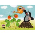 The Mole with a watering can - Krtek - Postcard