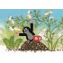 The Mole picking chamomile - Krtek - Postcard