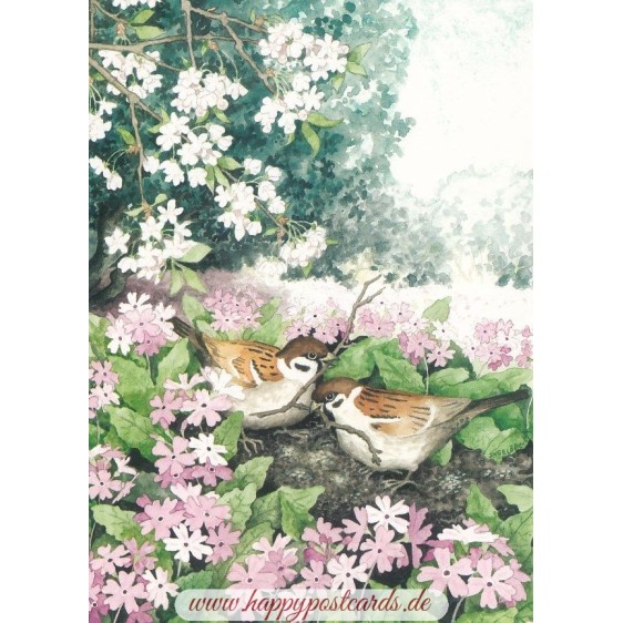 103 - Birds in Nest - Postcard