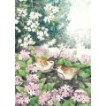 103 - Birds in Nest - Postcard