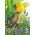 117 - Hedgehog and grape hyacinth - Postcard