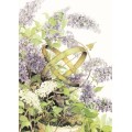 105 - Lilac - Postcard