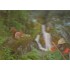 3D Schwarzwald mit Eichhörnchen - 3D Postkarte