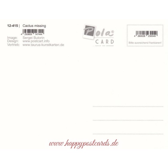 Kakteen - Missing you - PolaCard