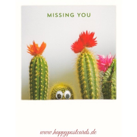 Kakteen - Missing you - PolaCard