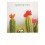 Kakteen - Missing you - PolaCard