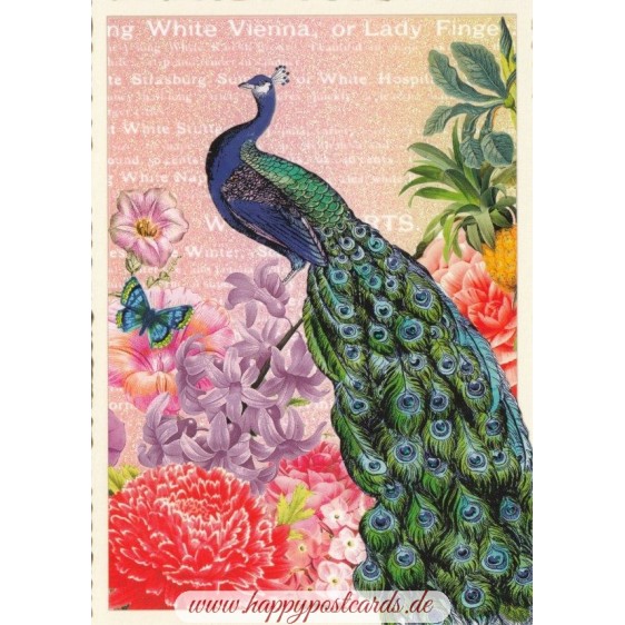 Peacock - Tausendschön - Postcard