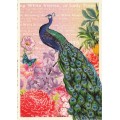 Pfau - Tausendschön - Postkarte