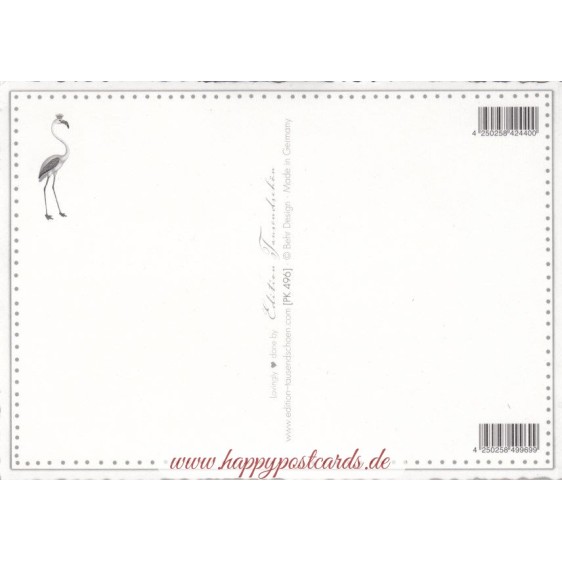 4 Flamingos - Tausendschön - Postcard