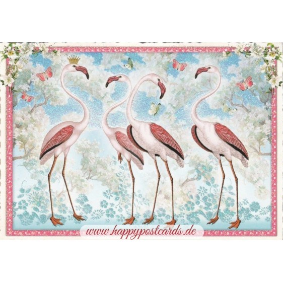4 Flamingos - Tausendschön - Postcard