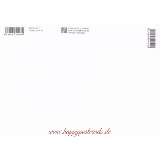 Frohes Fest - animals - Carola Pabst Postcard