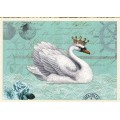 Swan - Tausendschön - Postcard