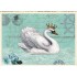Swan - Tausendschön - Postcard