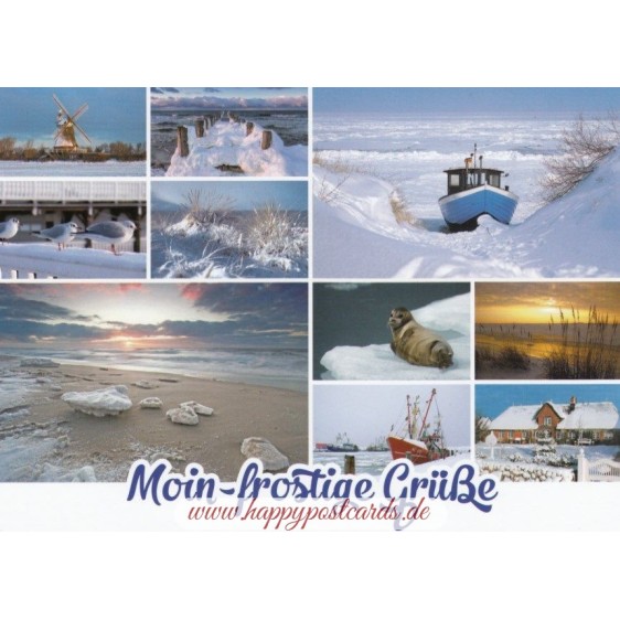 Moin-frostige Grüße - Ansichtskarte