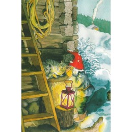 224 - Dwarf cuddles cat -Löök  Postcard