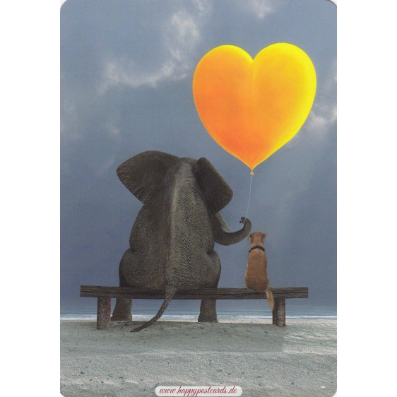 Elephant with dog - Medley postcard
