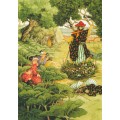62 - Old Ladies watching a boggle - Postcard