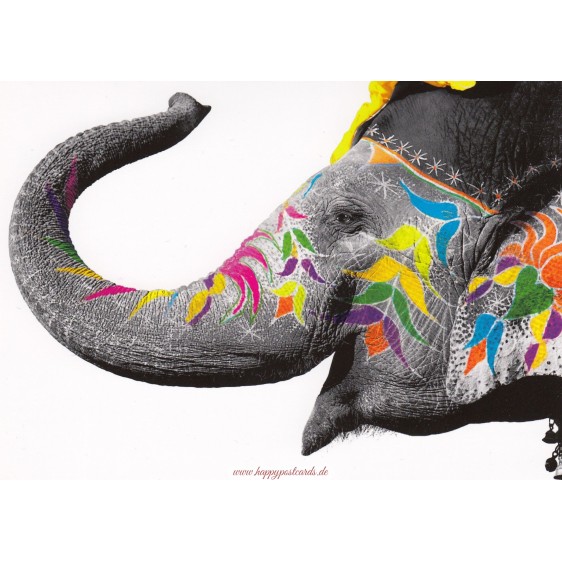 Colourfull Elephant - Postcard