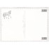 Pferd - Tausendschön - Postkarte