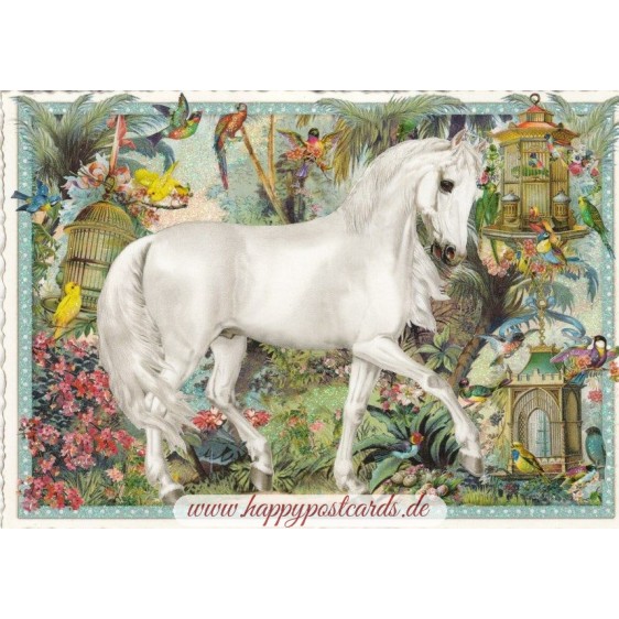 Horse - Tausendschön - Postcard