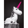 Unicorn - Postcard