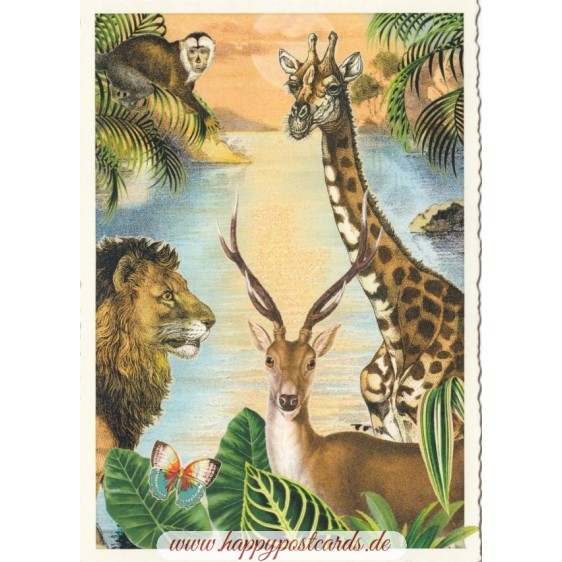 Dschungel - Tausendschön - Postkarte