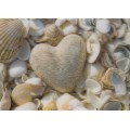 3D Herz und Muscheln - Postkarte