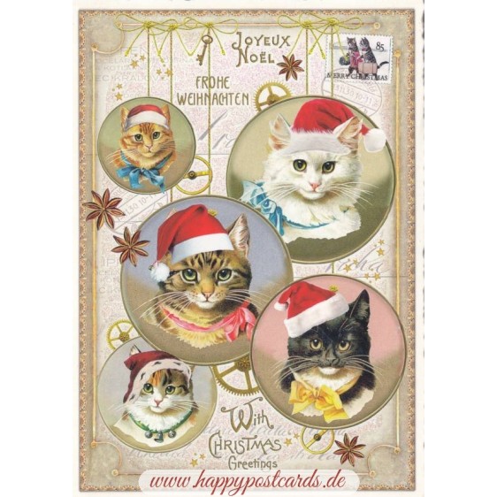 With Christmas Greetings - Christmascats - Tausendschön - Postcard