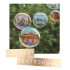 Germany - Soap bubbles - German Memories Postcard