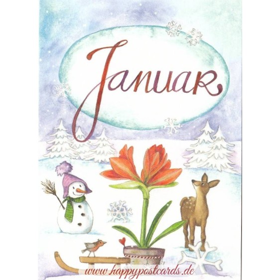 Januar - Amaryllis - Monthly Postcard