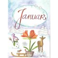 Januar - Amaryllis - Monthly Postcard