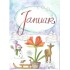 Januar - Amaryllis - Monthly Postcard