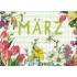 März - Carola Pabst - Monthly Postcard