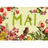 Mai - Carola Pabst - Monthly Postcard
