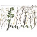 Januar - Kerstin Heß - Monthly Postcard