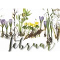 Februar - Kerstin Heß - Monats-Postkarte