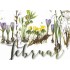 Februar - Kerstin Heß - Monats-Postkarte