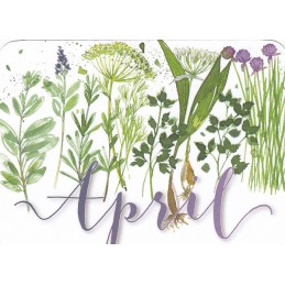 More about April - Kerstin Heß - Monthly Postcard