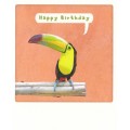 Happy Birthday Toucan - Pickmotion Postkarte