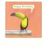 Happy Birthday Toucan - Pickmotion Postcard
