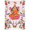 Lakshmi - Tausendschön - Postkarte