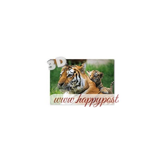 3D Tiger - Postcard
