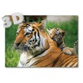 3D Tiger - Postcard