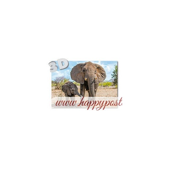 3D Elephants - Postcard
